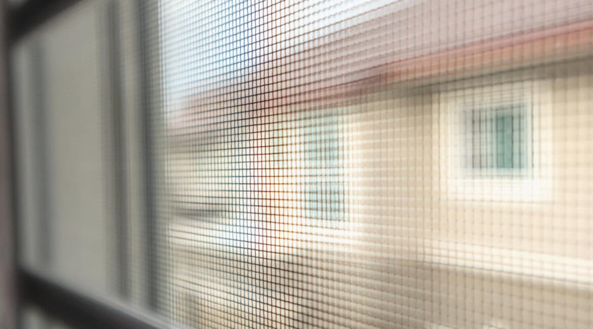 window screen